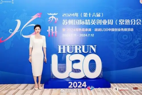 胡润的商业模式与成功案例_胡润如何盈利_胡润创业领袖榜