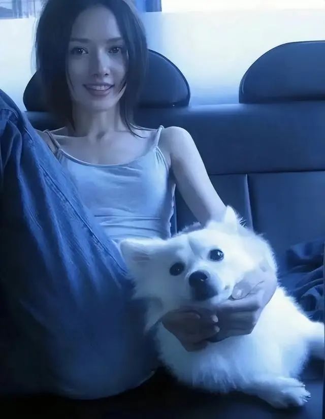 李连杰dvd广告_李连杰在商业广告中的魅力_李连杰广告