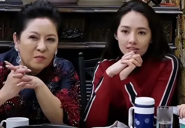 李连杰dvd广告_李连杰在商业广告中的魅力_李连杰广告