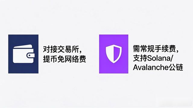 Trust钱包手续费高不高？对比MetaMask和币安钱包的真实成本