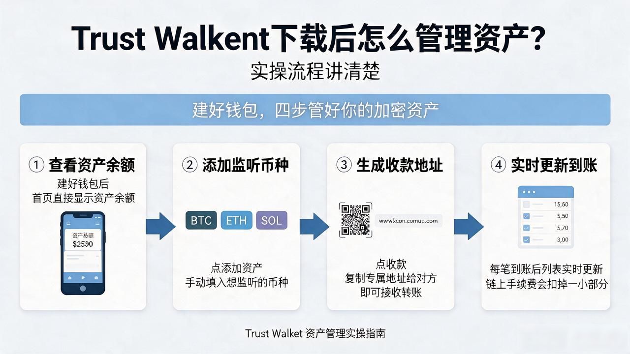 Trust Wallet下载后怎么管理资产？实操流程讲清楚